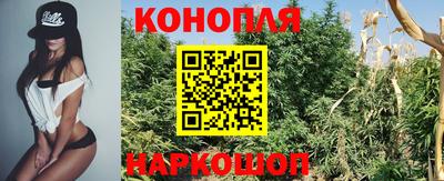 герыч Моздок
