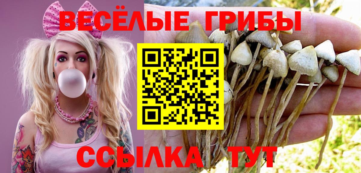 Псилоцибиновые грибы Psilocybine cubensis Серов