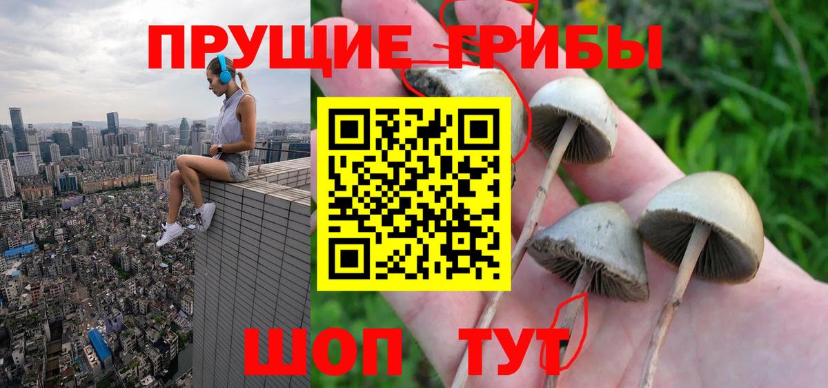 Галлюциногенные грибы Cubensis  Вход с VPN  Серов 